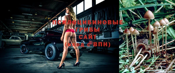 спиды Балахна