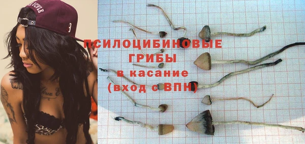 спиды Балахна