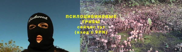 спиды Балахна